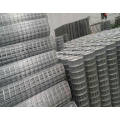 PVC Coated Galvanized Welded Wire Mesh, Holland Welded Wire Mesh